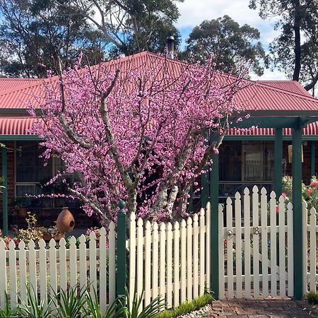 Blue Gum Cottage On Bay Bensville Exteriör bild