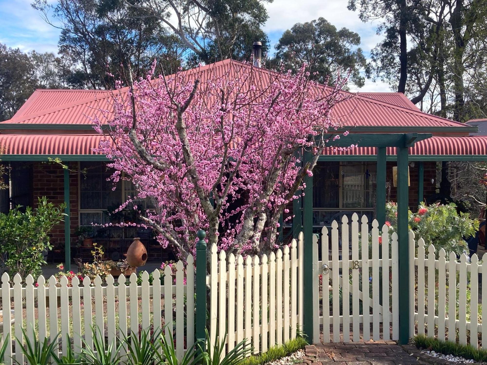 Blue Gum Cottage On Bay Bensville Exteriör bild