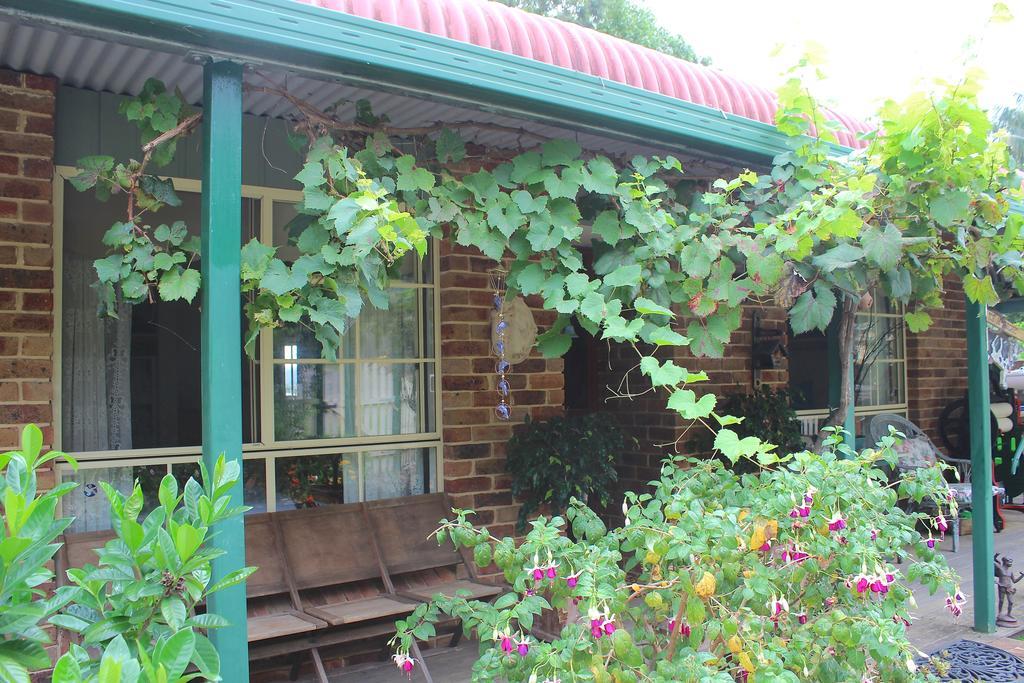 Blue Gum Cottage On Bay Bensville Rum bild