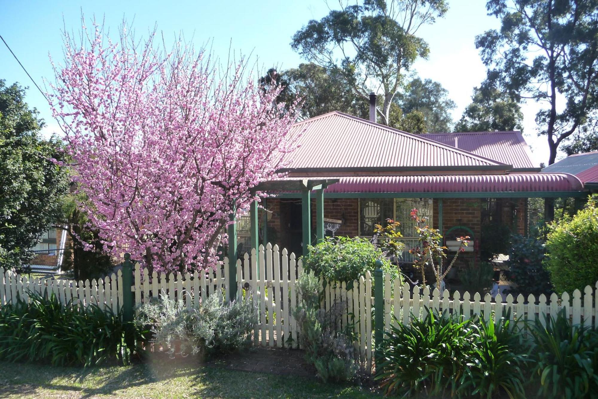 Blue Gum Cottage On Bay Bensville Exteriör bild