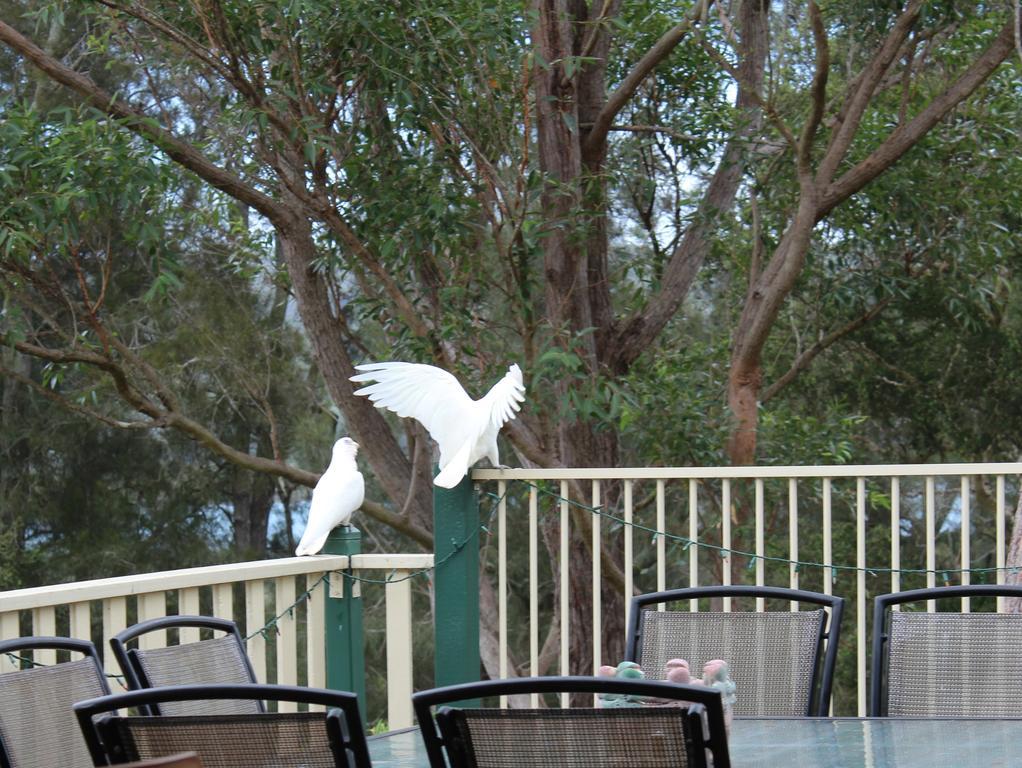 Blue Gum Cottage On Bay Bensville Exteriör bild